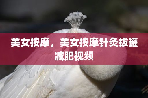美女按摩，美女按摩针灸拔罐减肥视频