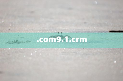 .com9.1.crm