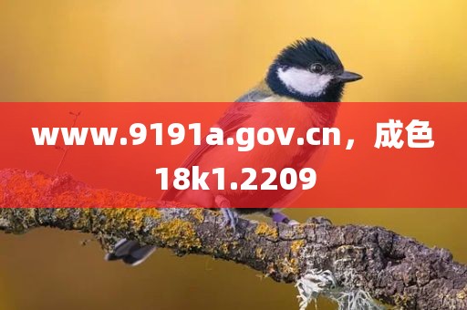 www.9191a.gov.cn，成色18k1.2209