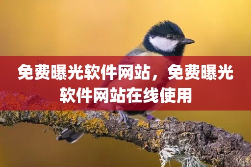免费曝光软件网站，免费曝光软件网站在线使用