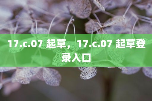 17.c.07 起草，17.c.07 起草登录入口