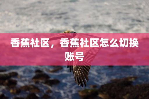 香蕉社区，香蕉社区怎么切换账号