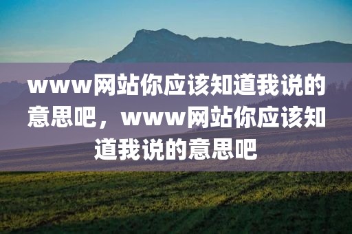 www网站你应该知道我说的意思吧，www网站你应该知道我说的意思吧