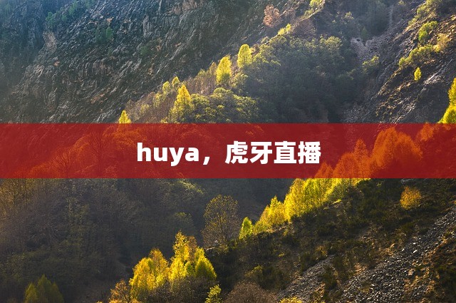 huya，虎牙直播