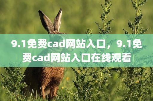 9.1免费cad网站入口，9.1免费cad网站入口在线观看