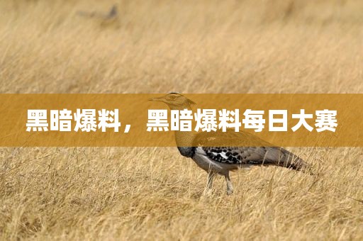 黑暗爆料，黑暗爆料每日大赛