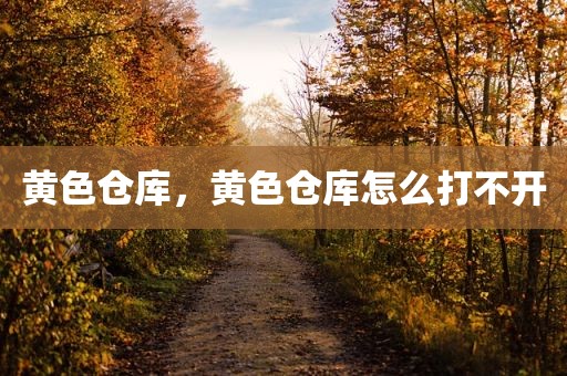 黄色仓库，黄色仓库怎么打不开