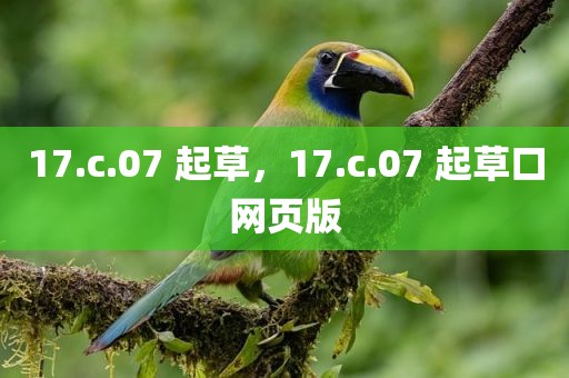 17.c.07 起草，17.c.07 起草口网页版
