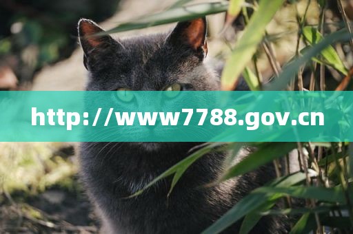 http://www7788.gov.cn