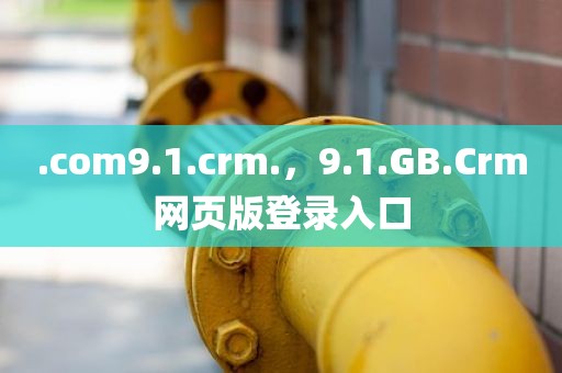 .com9.1.crm.，9.1.GB.Crm网页版登录入口