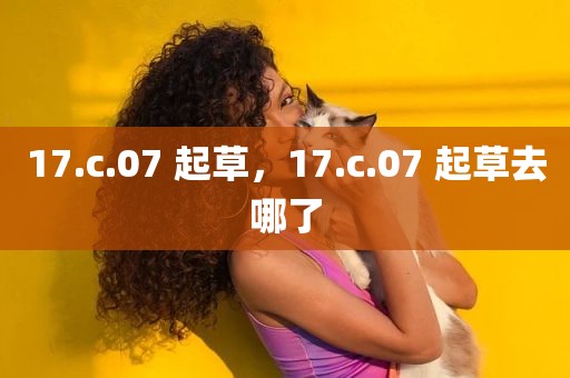 17.c.07 起草，17.c.07 起草去哪了