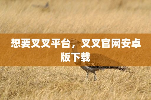 想要叉叉平台，叉叉官网安卓版下载