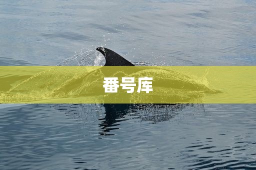 番号库