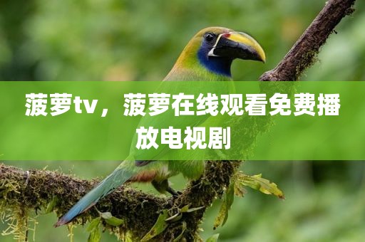 菠萝tv，菠萝在线观看免费播放电视剧