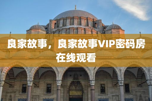 良家故事，良家故事VIP密码房在线观看