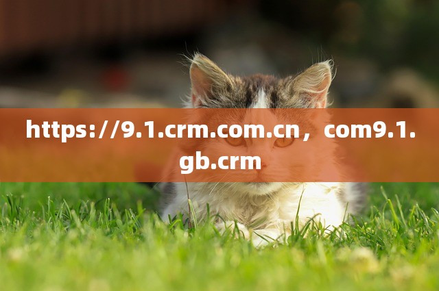 https://9.1.crm.com.cn，com9.1.gb.crm