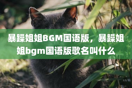 暴躁姐姐BGM国语版，暴躁姐姐bgm国语版歌名叫什么