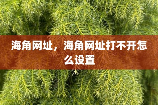 海角网址，海角网址打不开怎么设置
