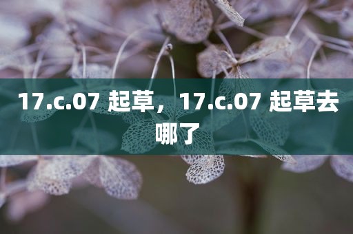 17.c.07 起草，17.c.07 起草去哪了