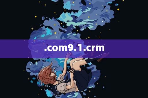 .com9.1.crm