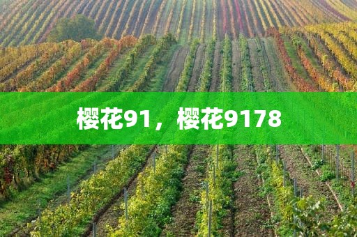 樱花91，樱花9178