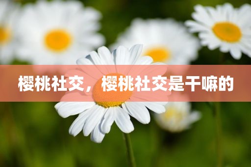 樱桃社交，樱桃社交是干嘛的