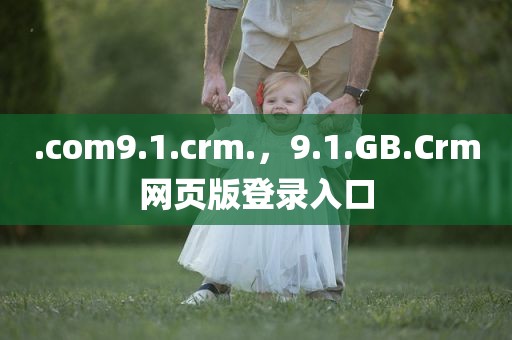 .com9.1.crm.，9.1.GB.Crm网页版登录入口