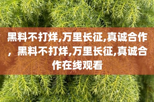 黑料不打烊,万里长征,真诚合作，黑料不打烊,万里长征,真诚合作在线观看