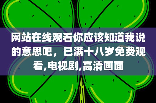 网站在线观看你应该知道我说的意思吧，已满十八岁免费观看,电视剧,高清画面
