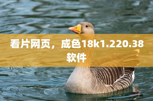看片网页，成色18k1.220.38软件