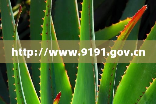 http://www.9191.gov.cn