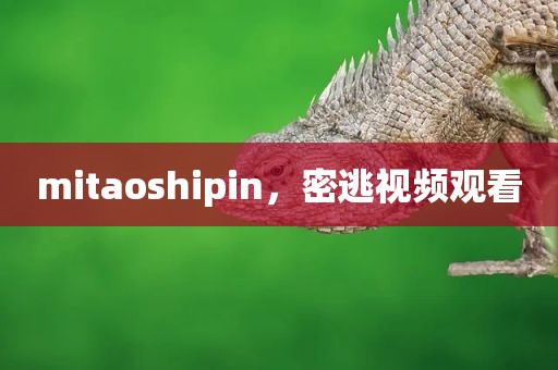 mitaoshipin，密逃视频观看