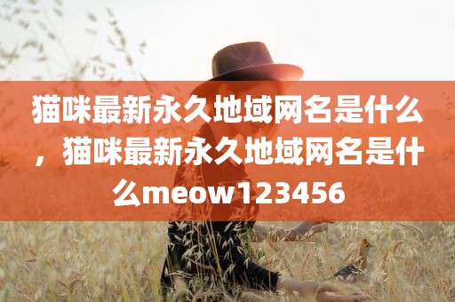 猫咪最新永久地域网名是什么，猫咪最新永久地域网名是什么meow123456