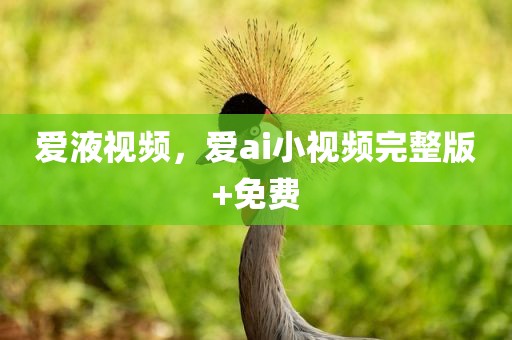 爱液视频，爱ai小视频完整版+免费