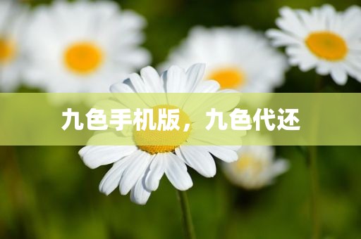九色手机版，九色代还