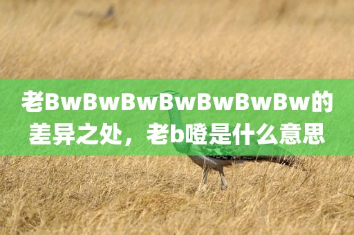 老BwBwBwBwBwBwBw的差异之处，老b噔是什么意思