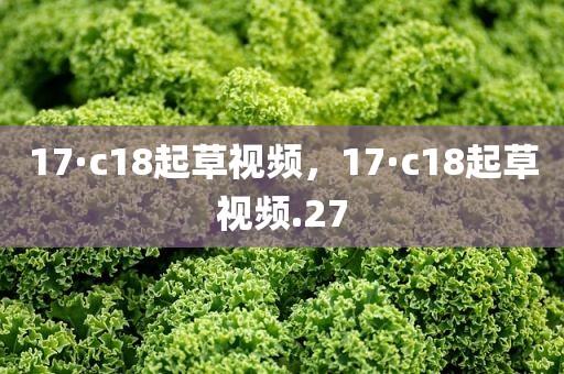 17·c18起草视频，17·c18起草视频.27