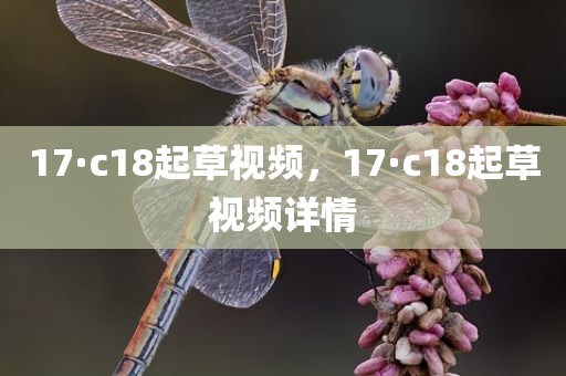 17·c18起草视频，17·c18起草视频详情