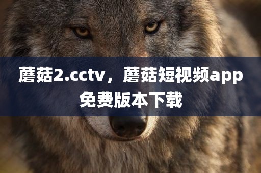 蘑菇2.cctv，蘑菇短视频app免费版本下载