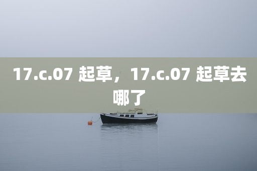 17.c.07 起草，17.c.07 起草去哪了