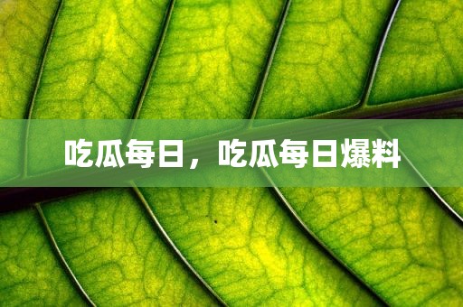 吃瓜每日，吃瓜每日爆料