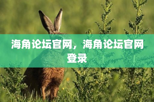海角论坛官网，海角论坛官网登录