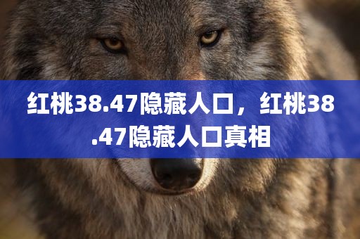 红桃38.47隐藏人口，红桃38.47隐藏人口真相