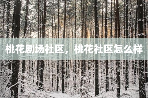 桃花剧场社区，桃花社区怎么样