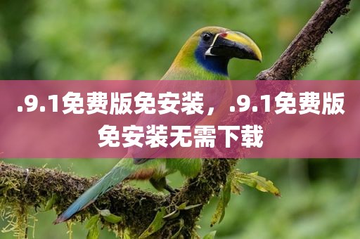 .9.1免费版免安装，.9.1免费版免安装无需下载