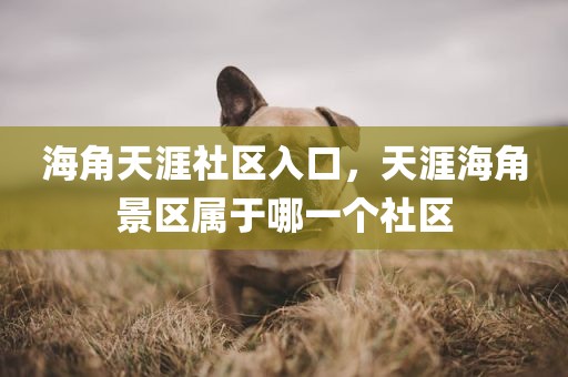 海角天涯社区入口，天涯海角景区属于哪一个社区