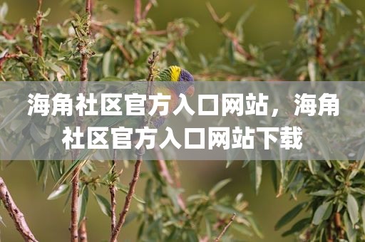 海角社区官方入口网站，海角社区官方入口网站下载
