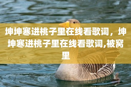 坤坤寒进桃子里在线看歌词，坤坤寒进桃子里在线看歌词,被窝里