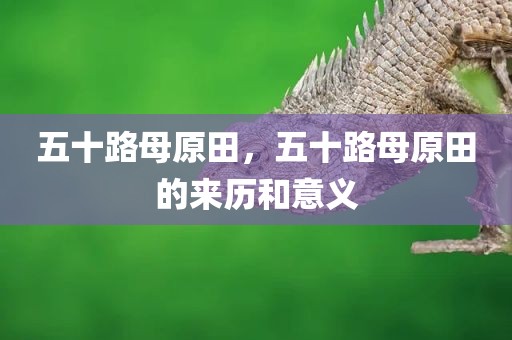 五十路母原田，五十路母原田的来历和意义