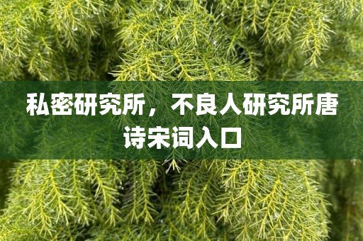 私密研究所，不良人研究所唐诗宋词入口